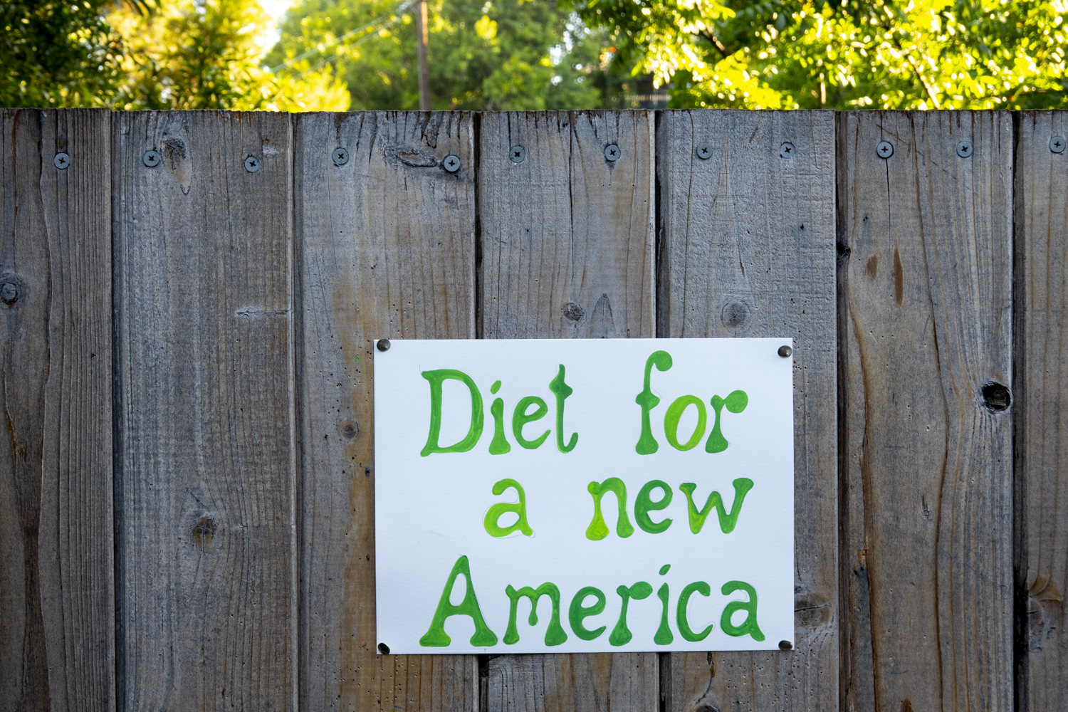 Diet for a new America
																		