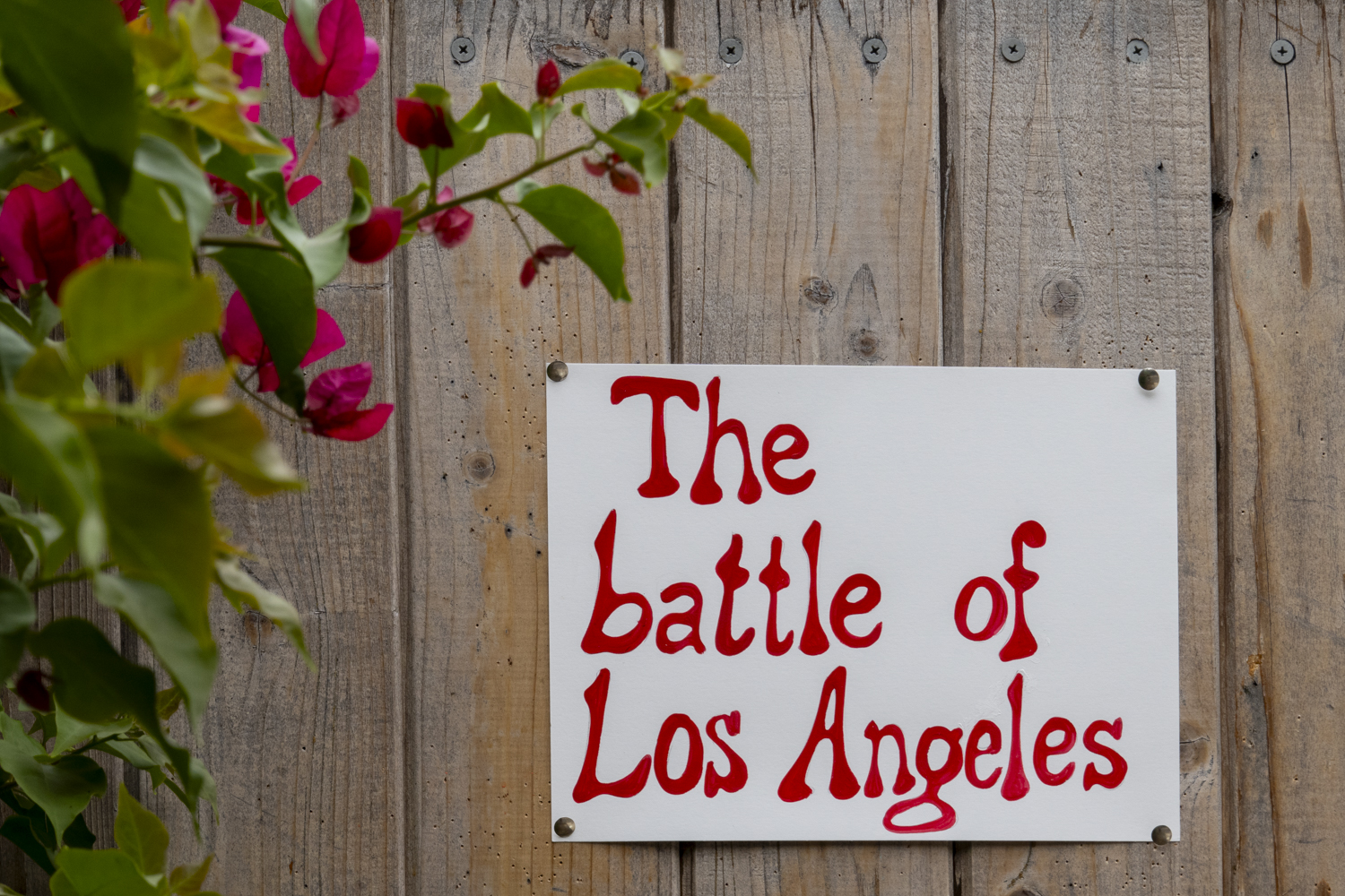 The battle of Los Angeles
																		