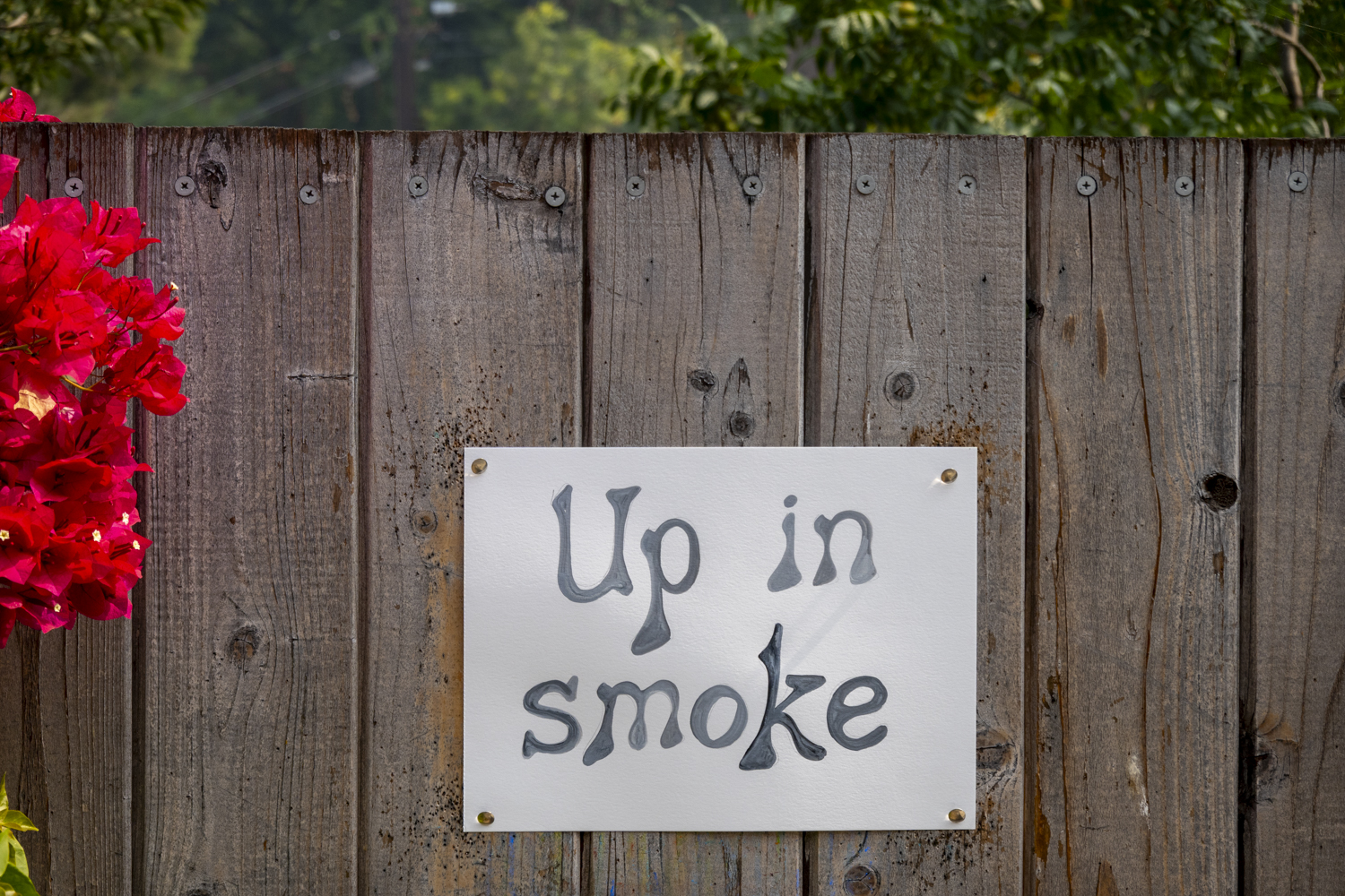 smoke"/
