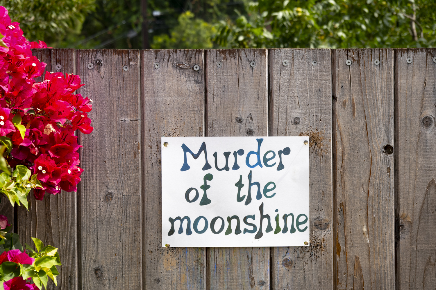 moonshine"/