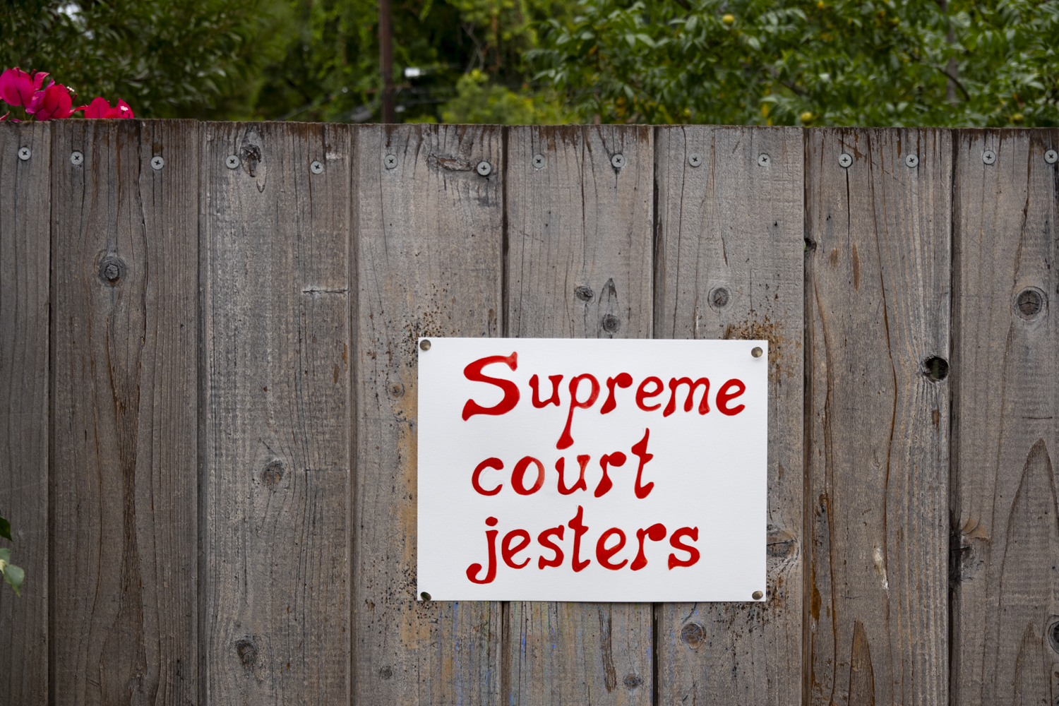 CourtJesters"/