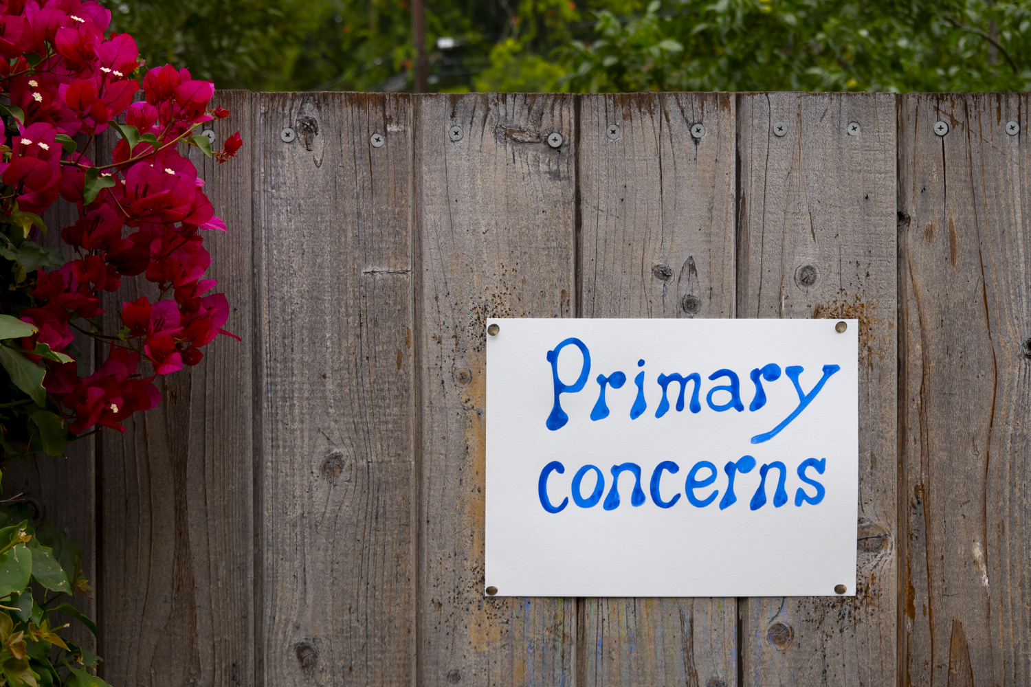 PrimaryConcerns"/