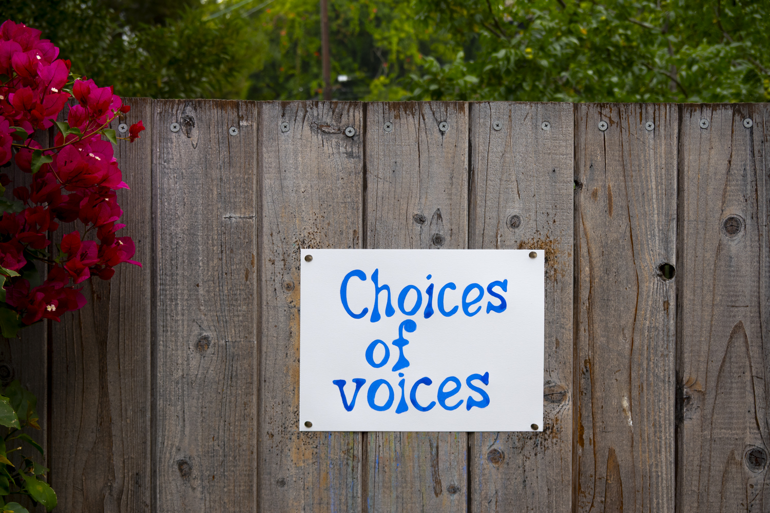 Choices"/
