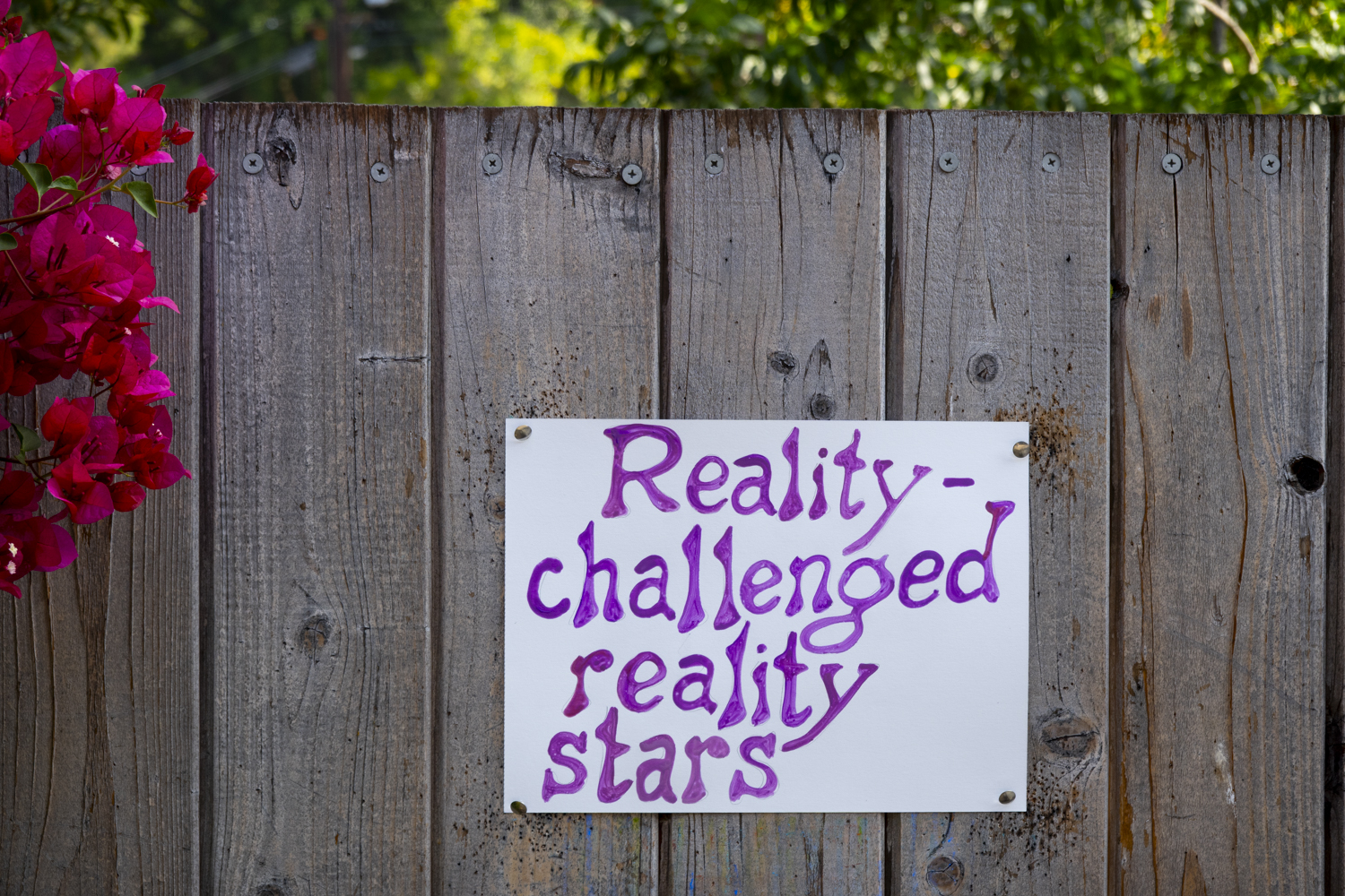 reality"/