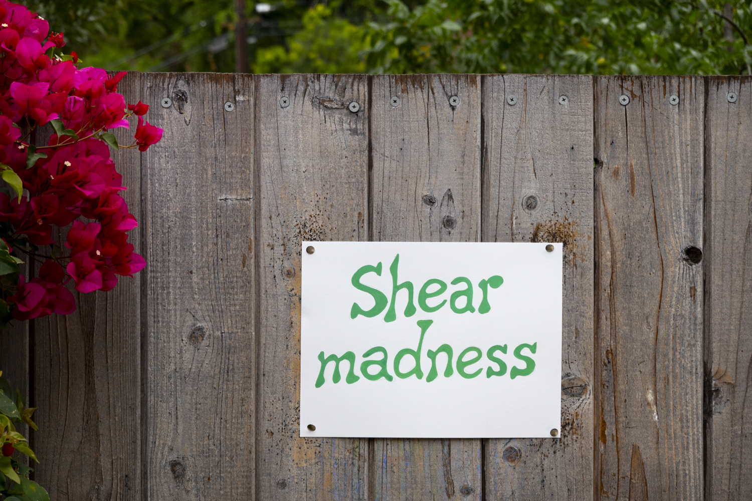 Shear"/
