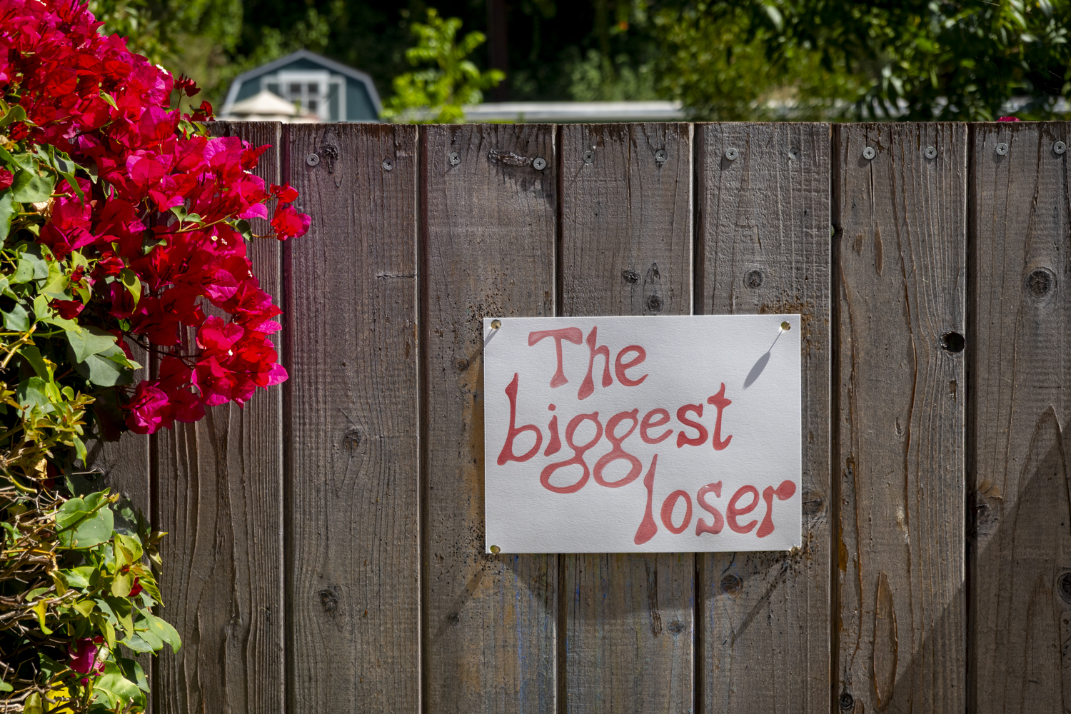 Loser"/