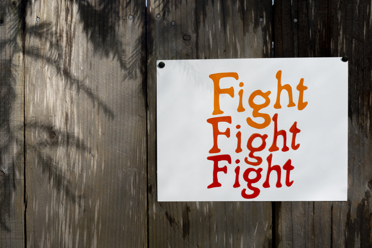 Fight Fight Fight