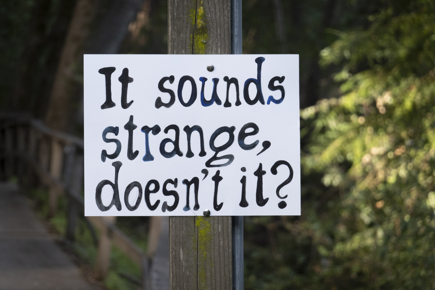 it sounds strange, doesn't it?