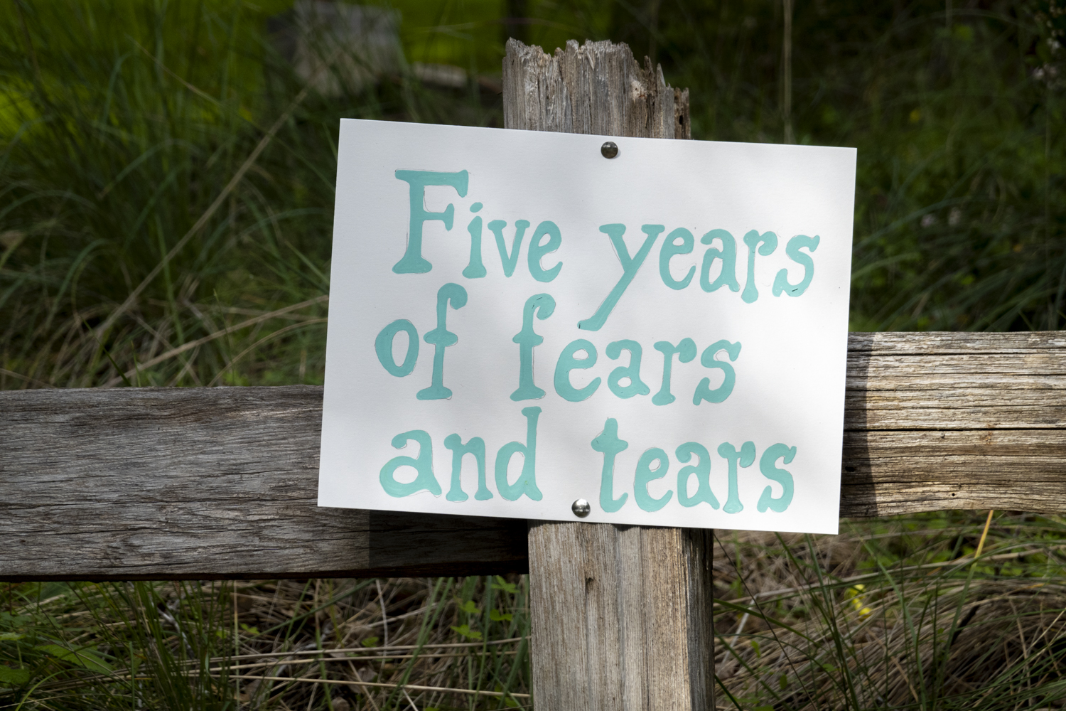 Five years of fears and tears?