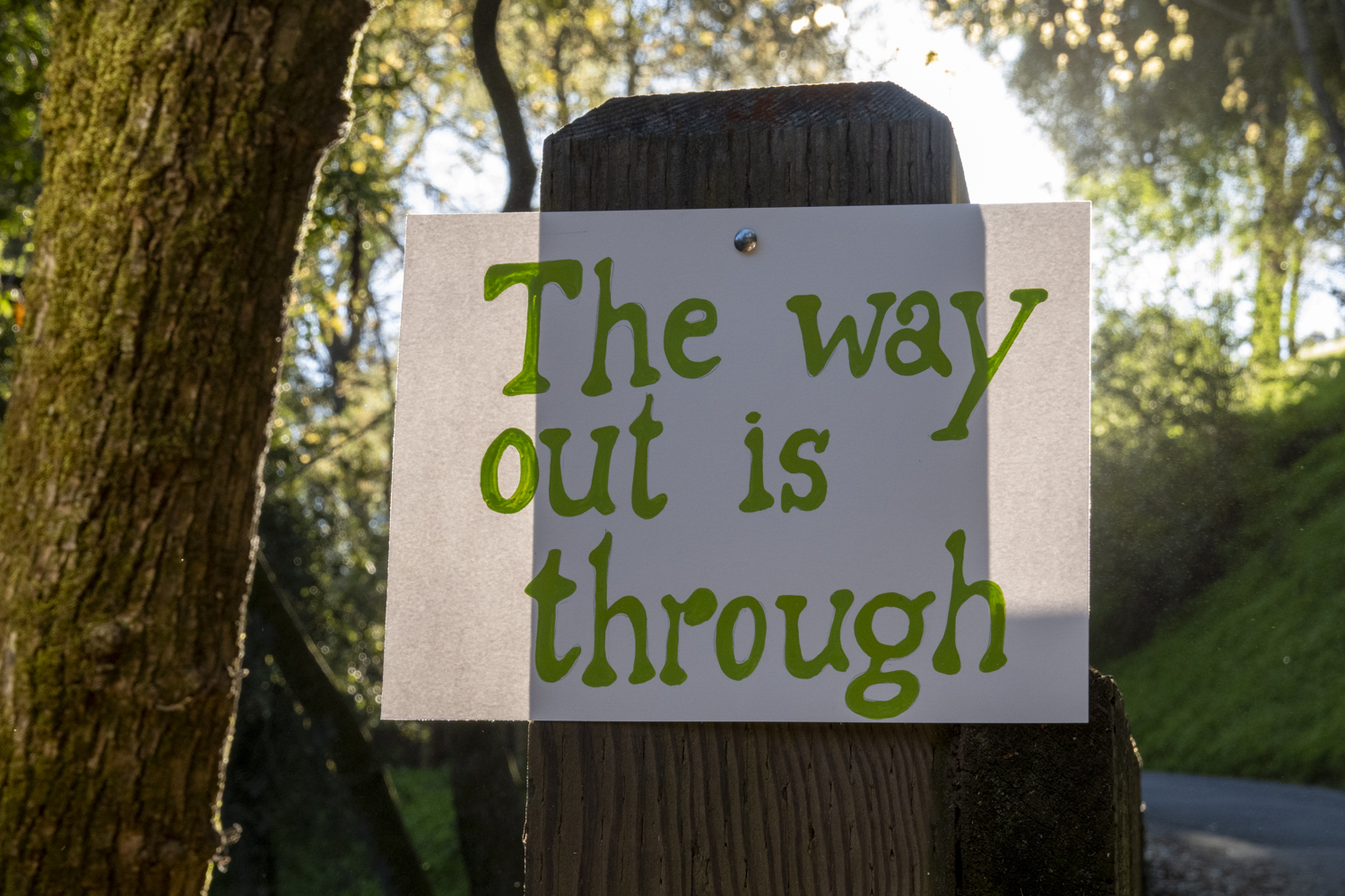 The way out is through
