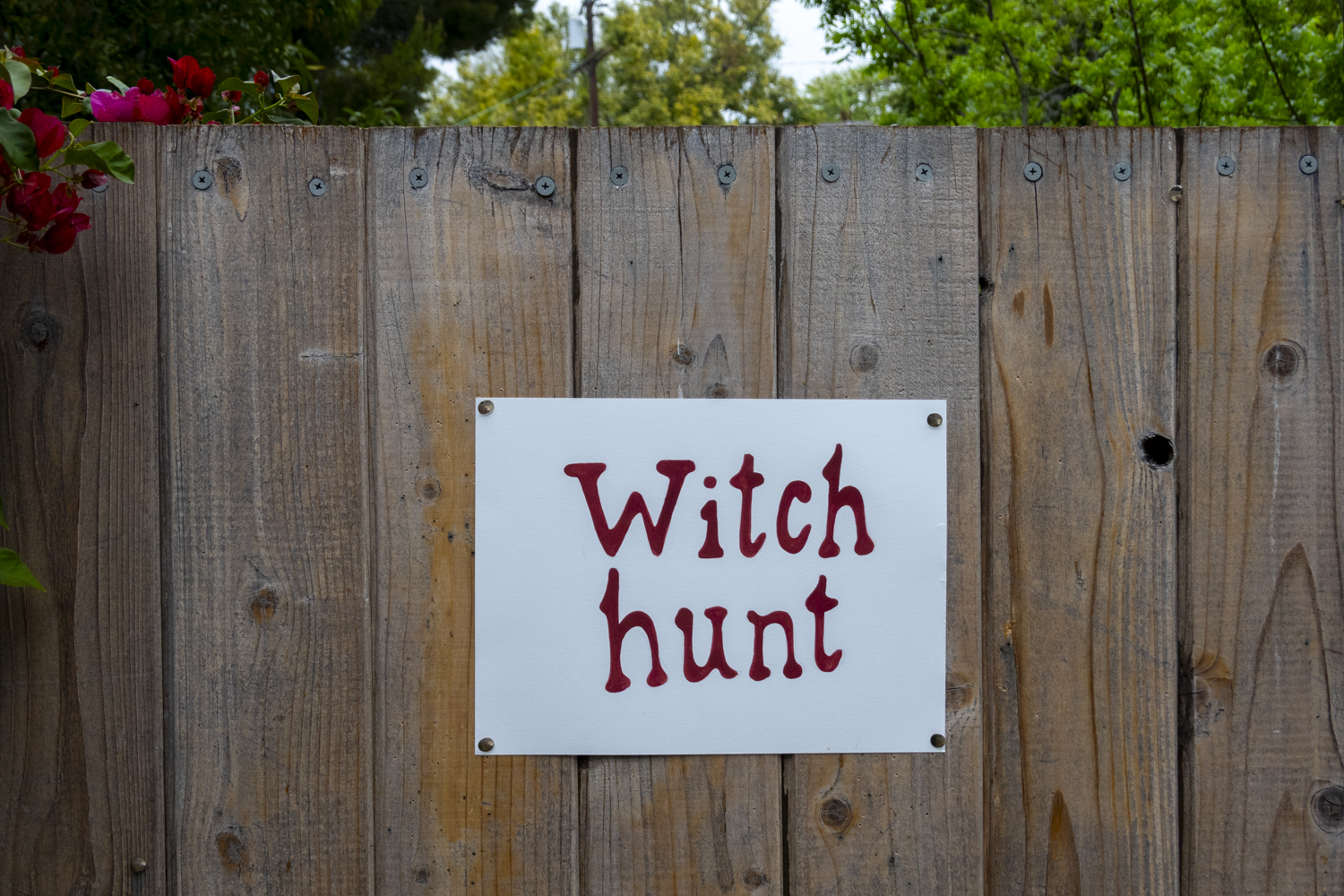 Witch hunt