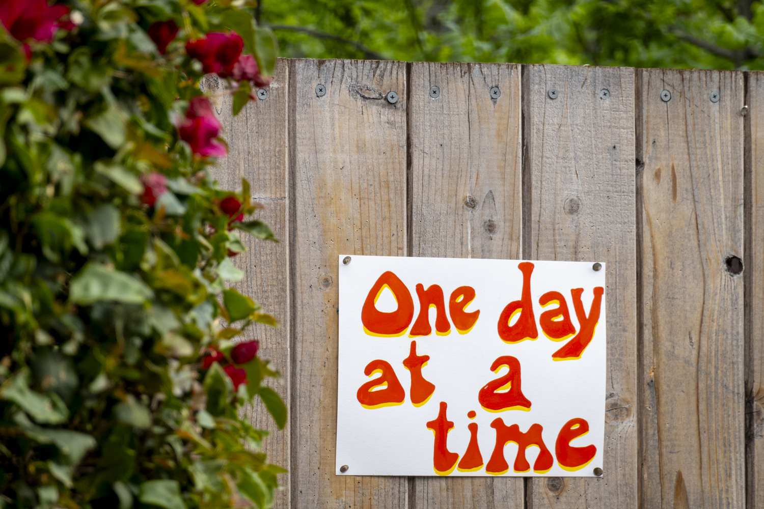 One day at a time