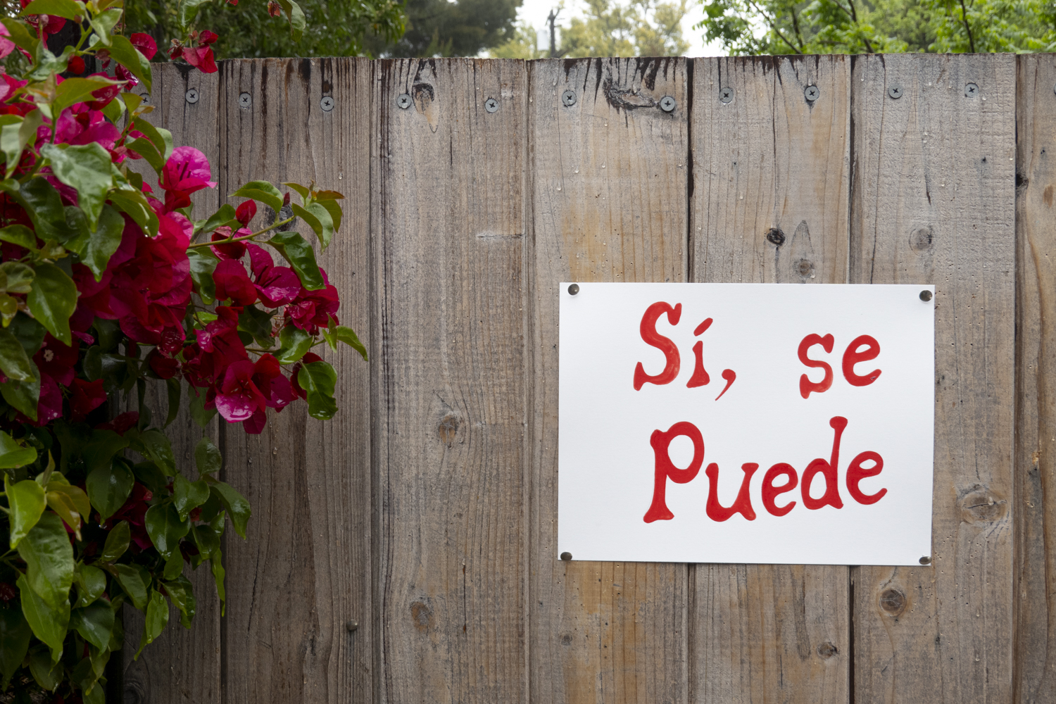 Si, se Puede
																			 