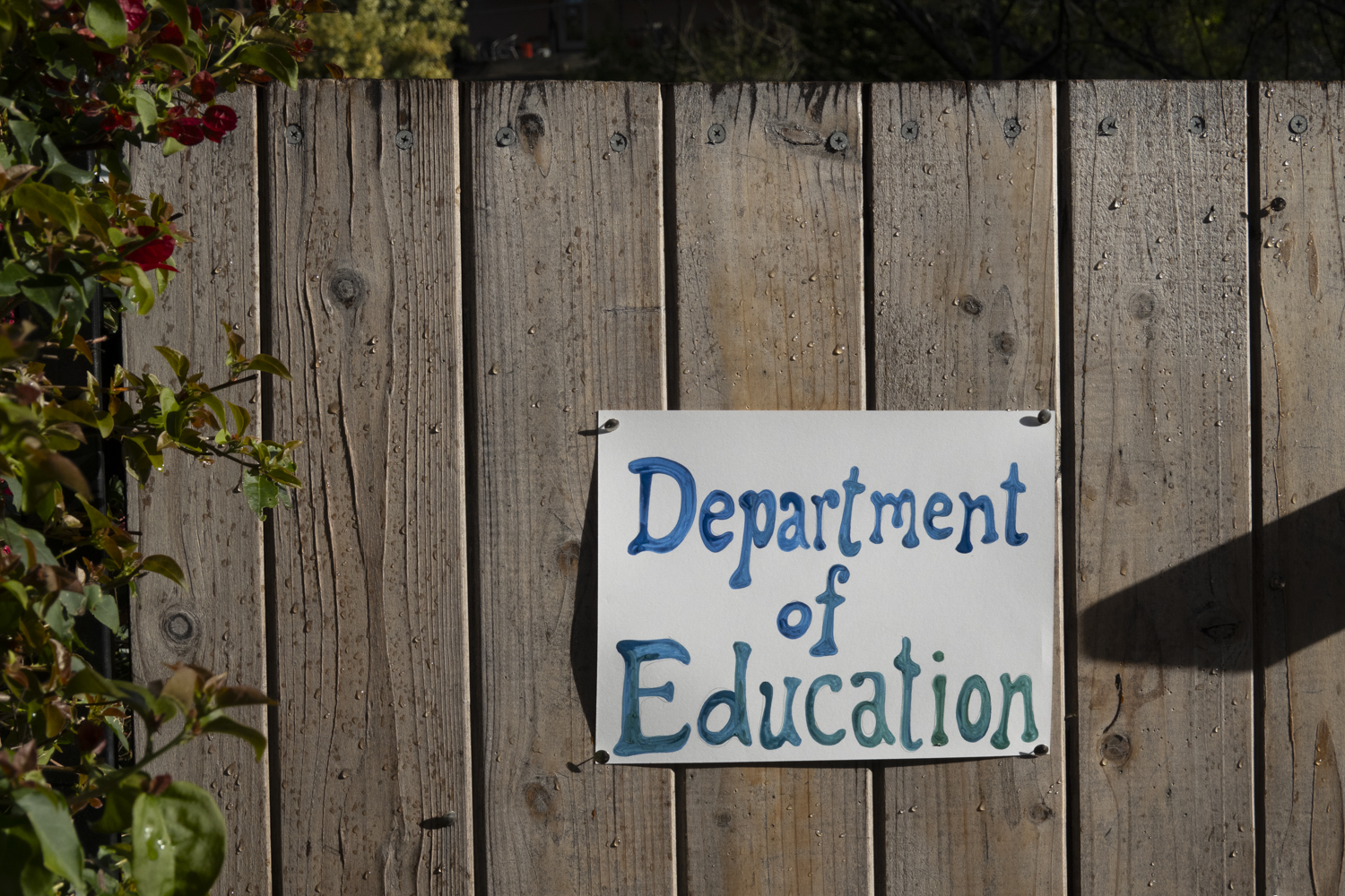 Department of Education