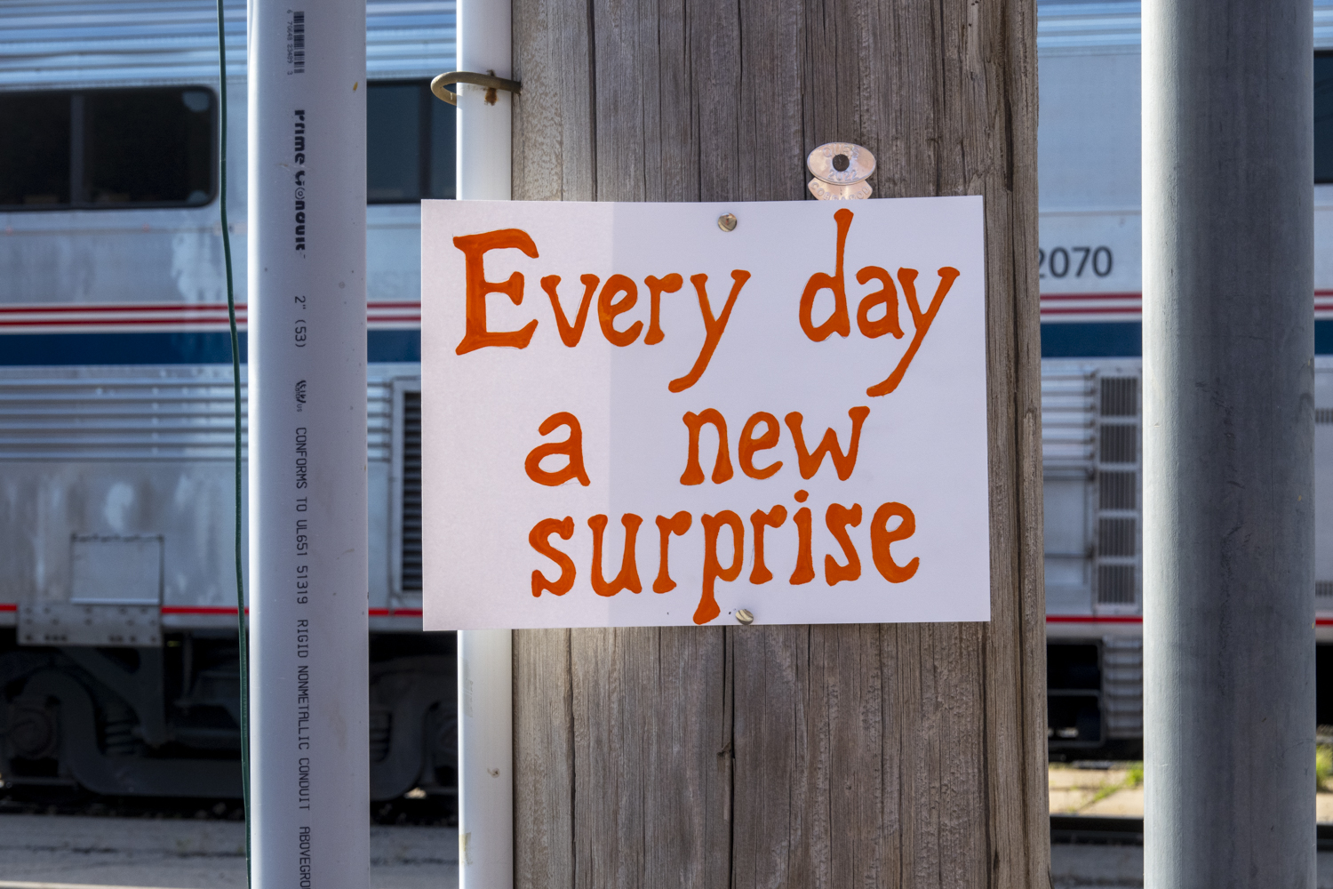 Every day a new surprise
																		
