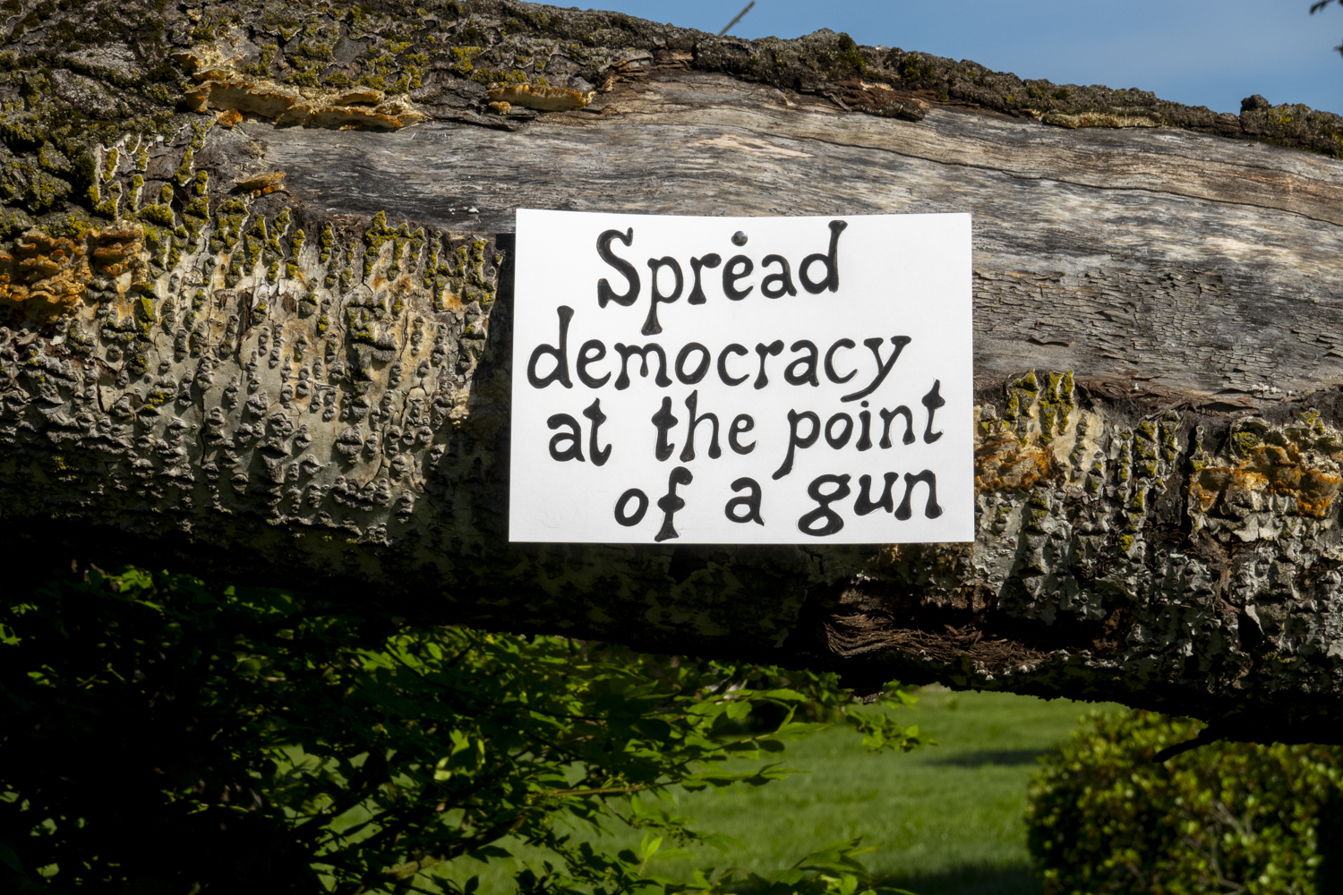 Spread democracy at the point of a gun
																		