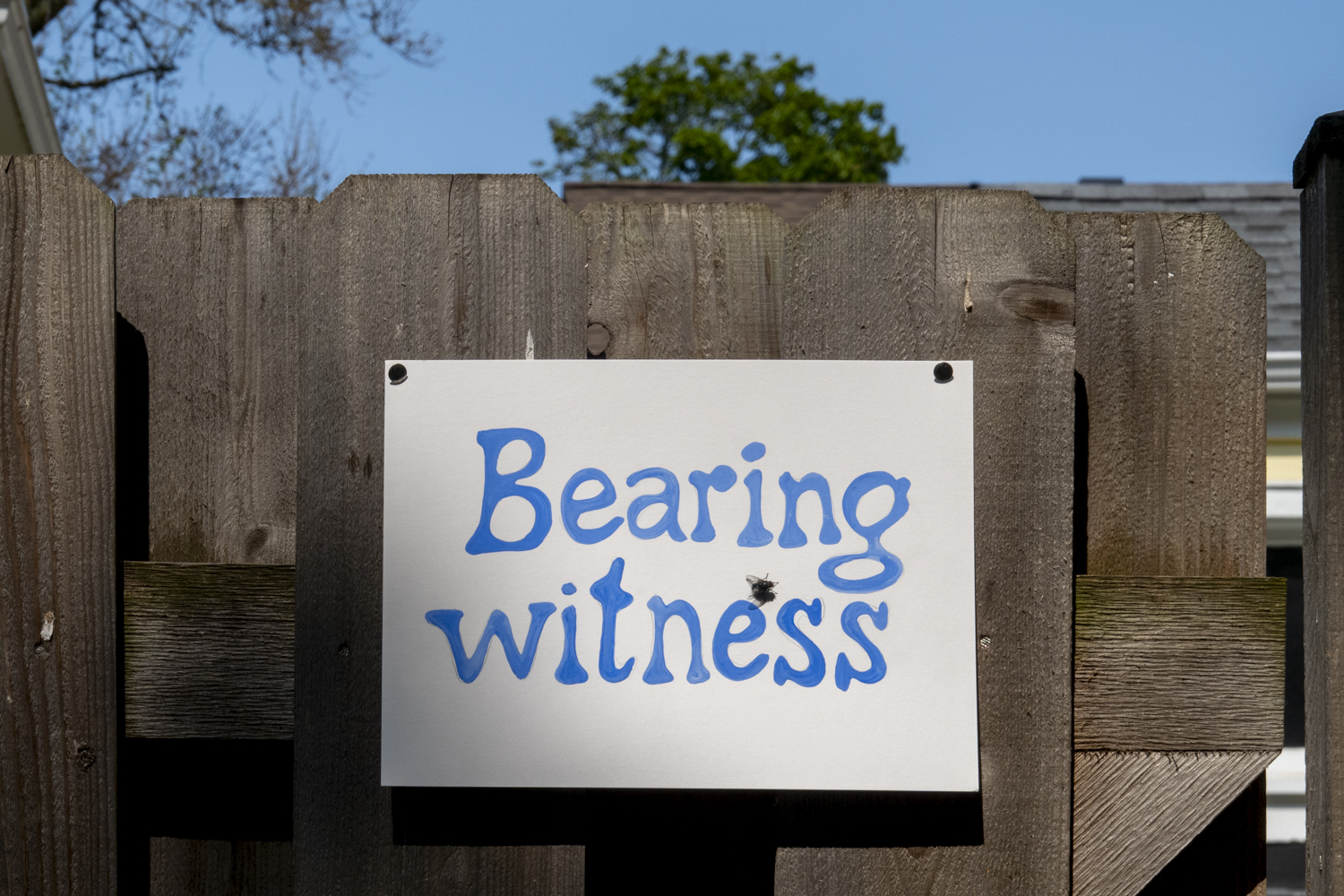 Bearing witness
																		