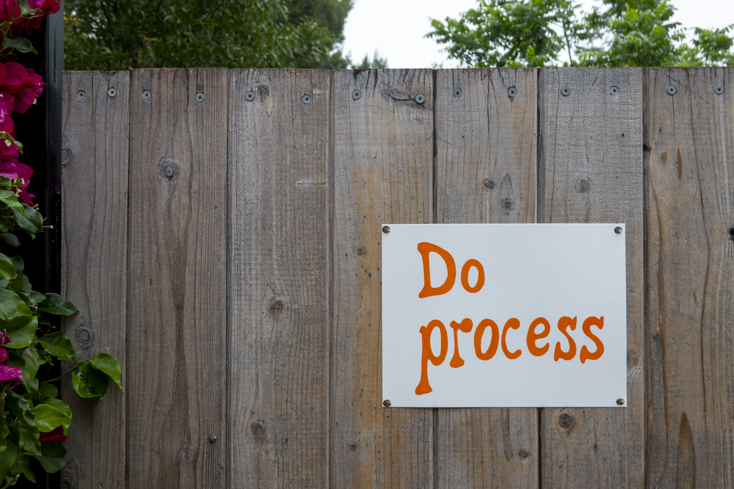 Do process