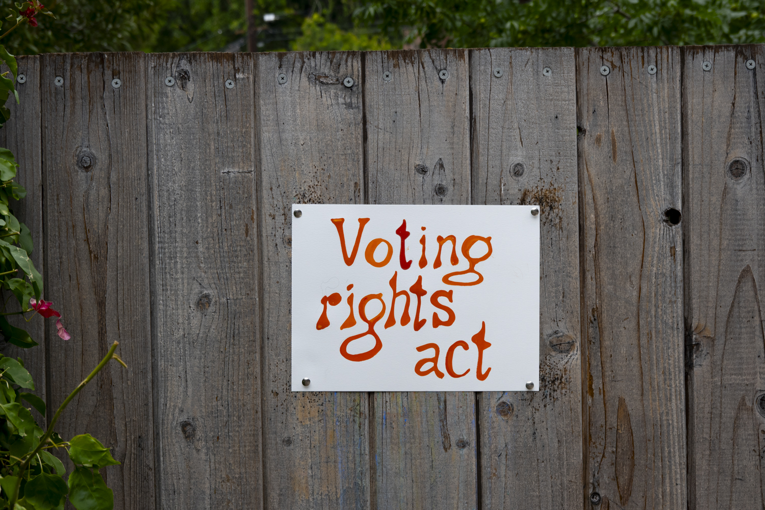 Voting