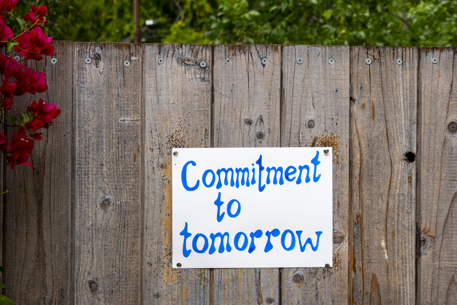 Commitment