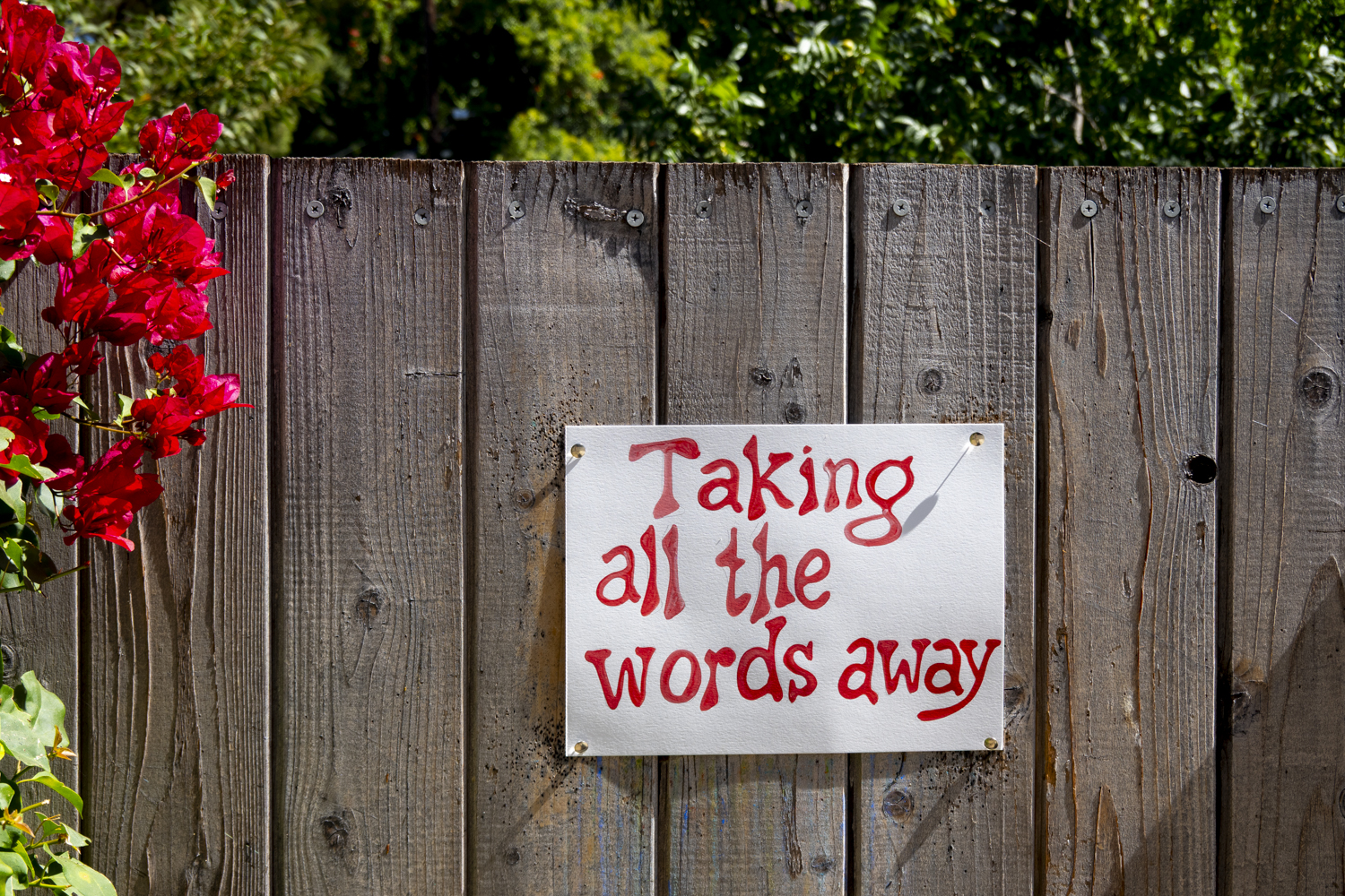 Words