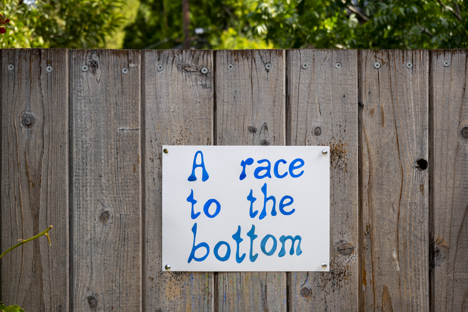 Race