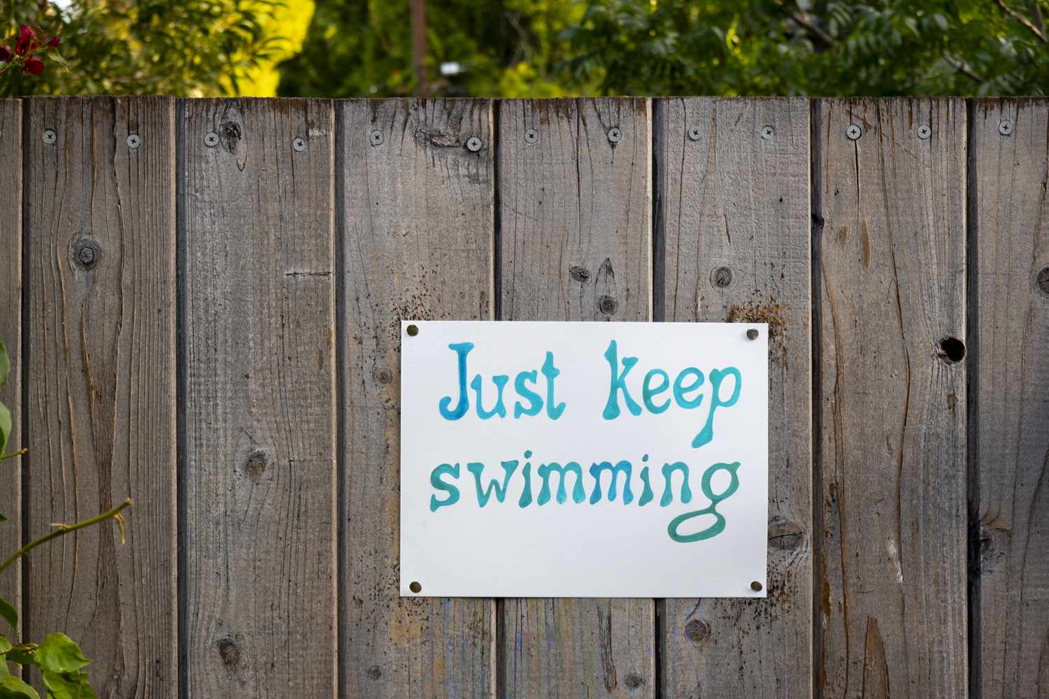 swim
