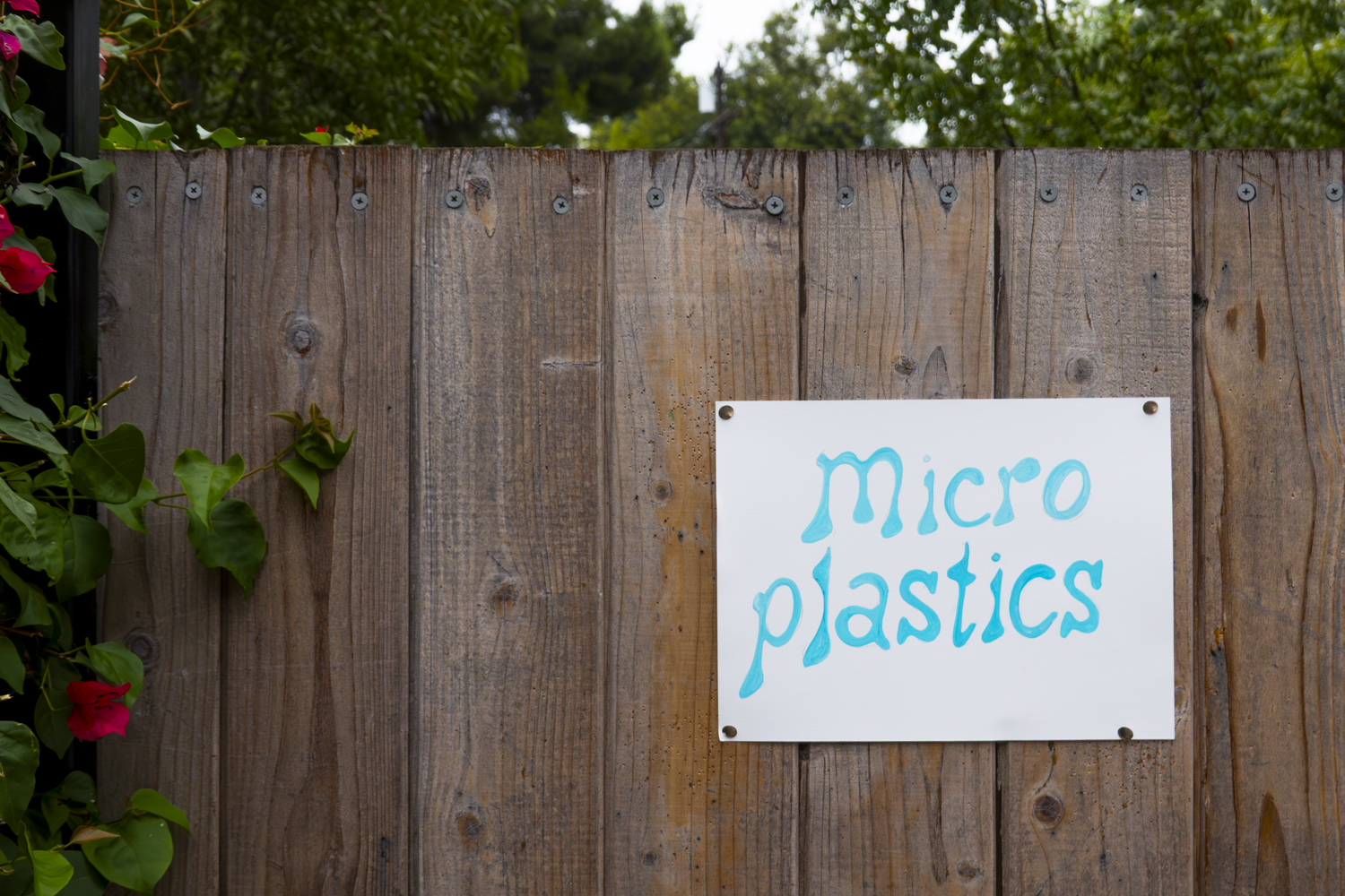 Microplastics