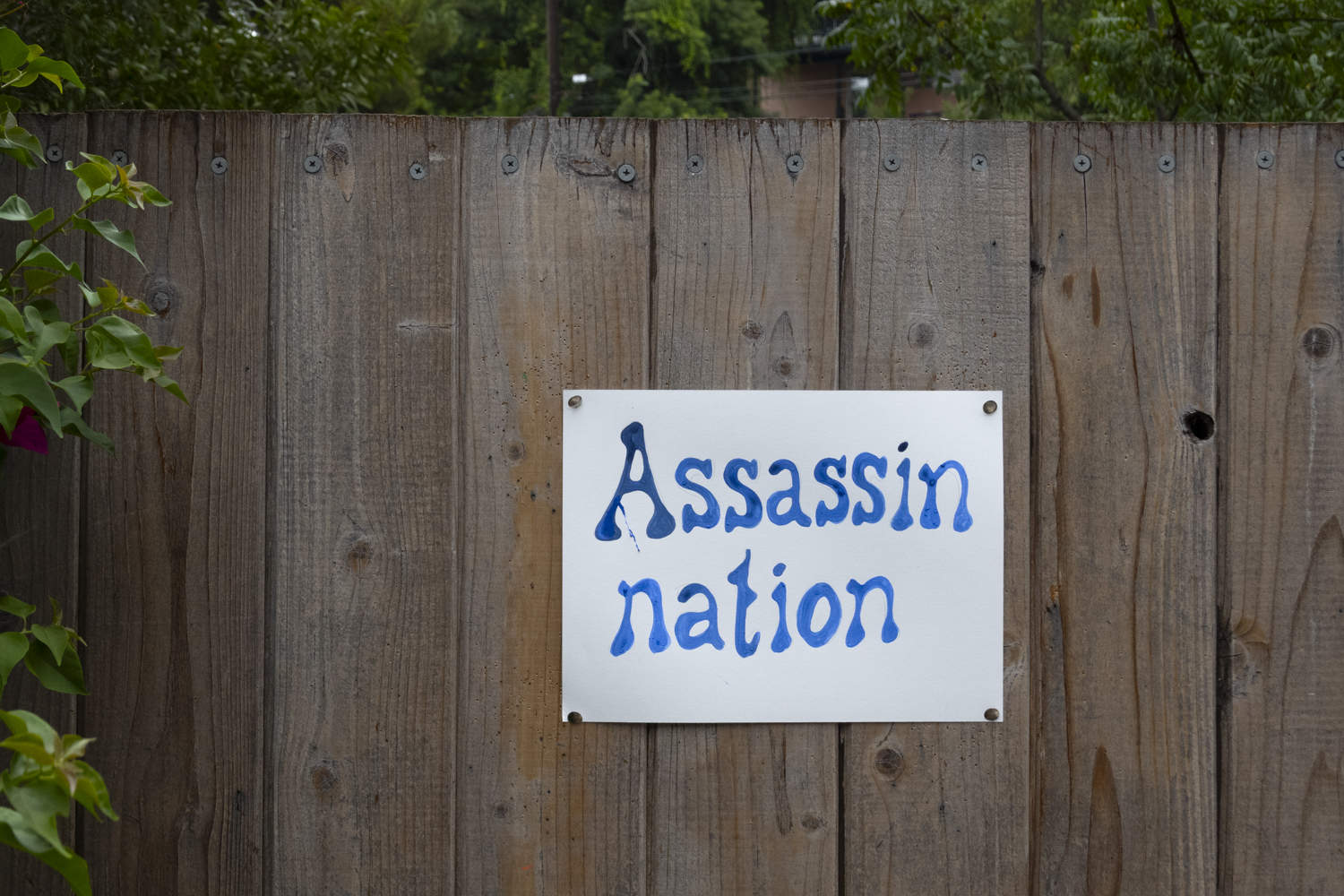 Assassin nation
																		