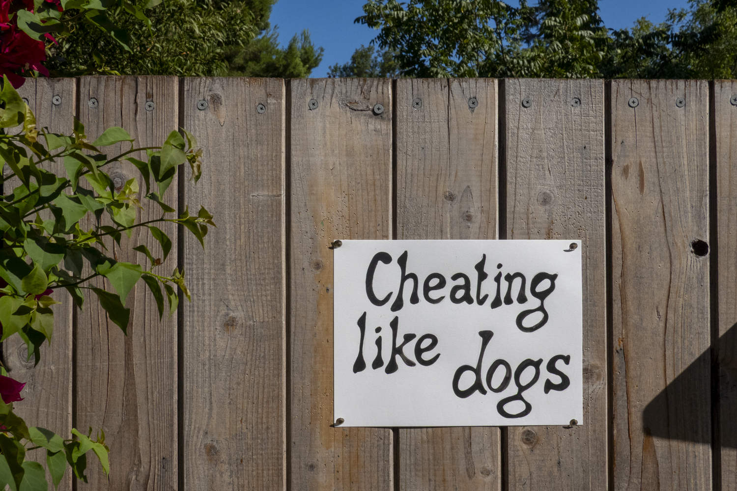 Cheating like dogs
																		