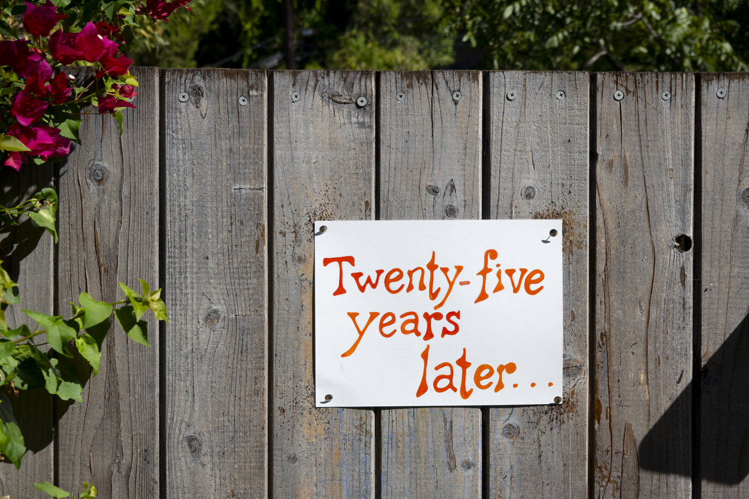 25